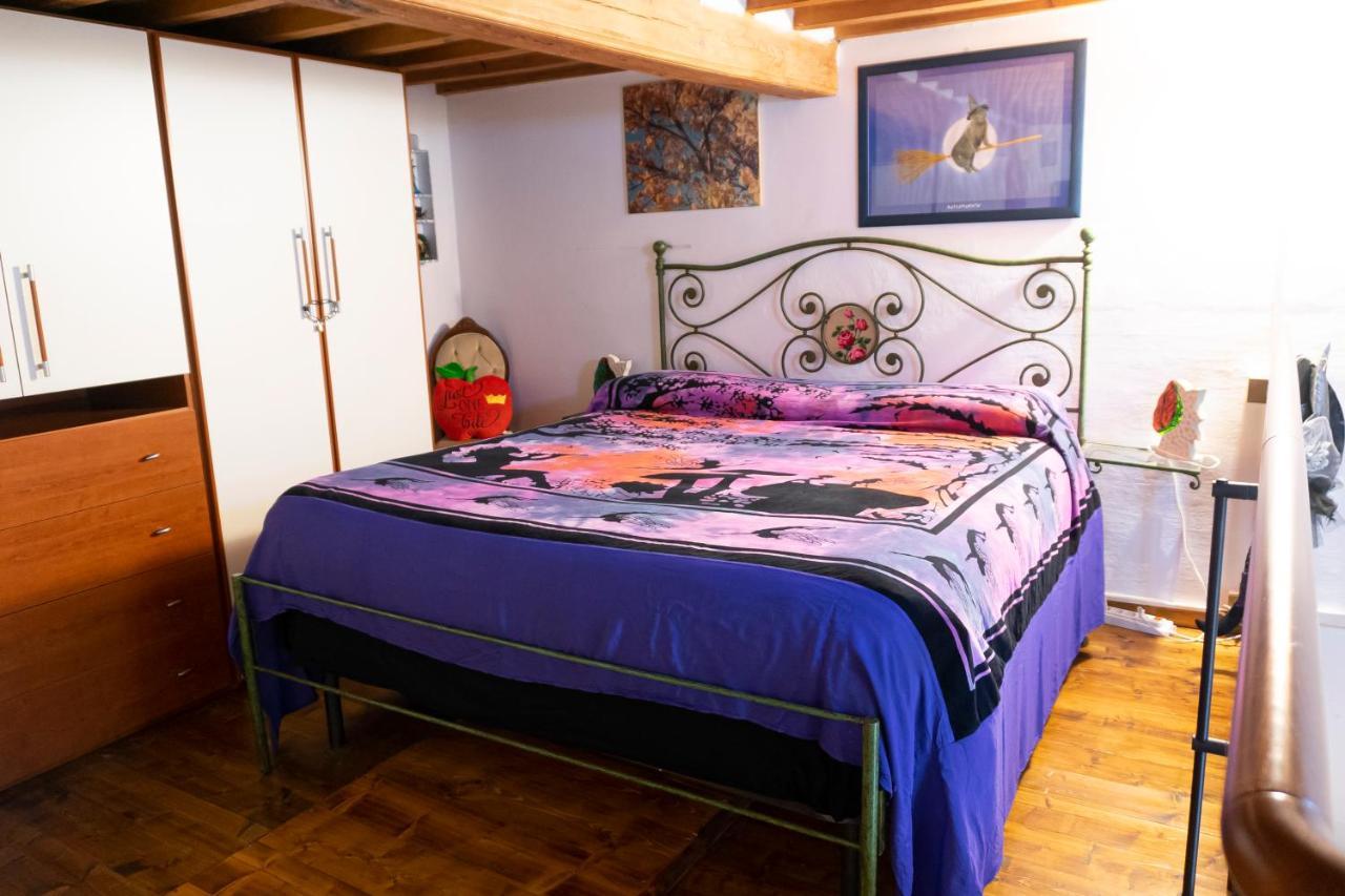 Le Streghe Rooms E Art,Centralissimo Con Garage Su Richiesta Livorno Exterior foto
